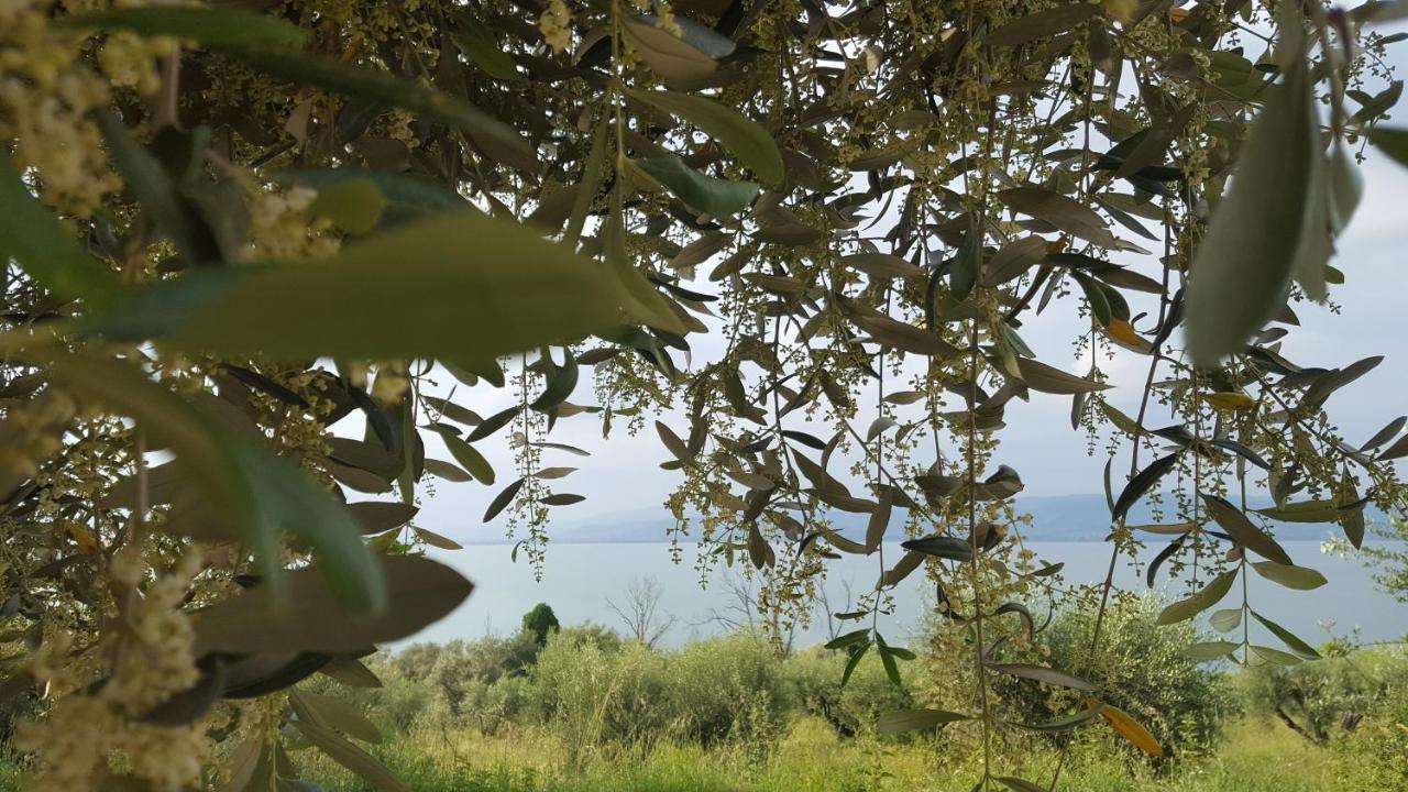 Hotel La Torre Castiglione del Lago Zewnętrze zdjęcie